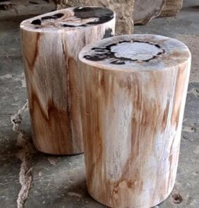 petrified wood logs