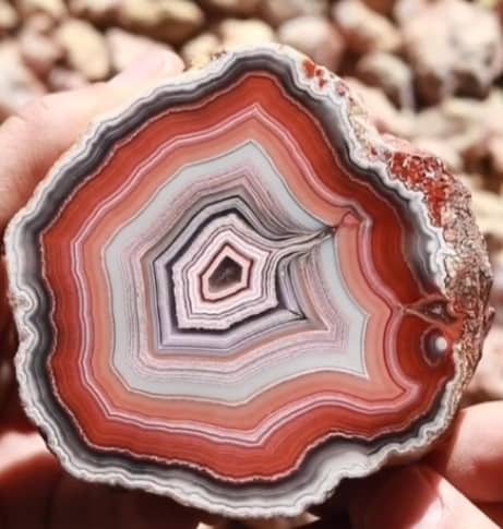 red crazy lace agate slab