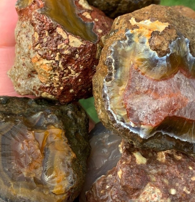 Condor Agates - Why Your Agate Collection Needs One