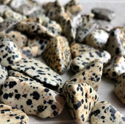 tumbled Dalmatian Jasper