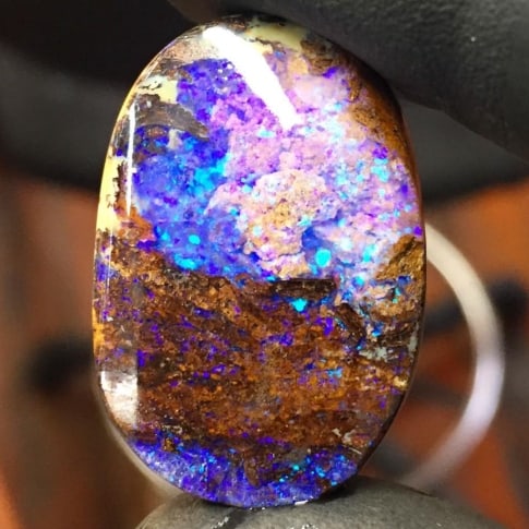 rare opalized wood