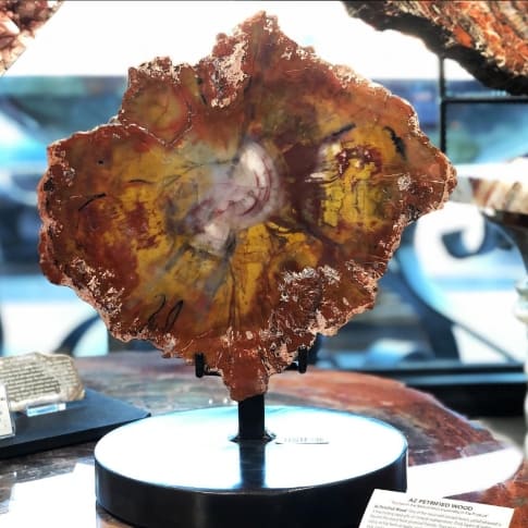 red arizona petrified wood specimen