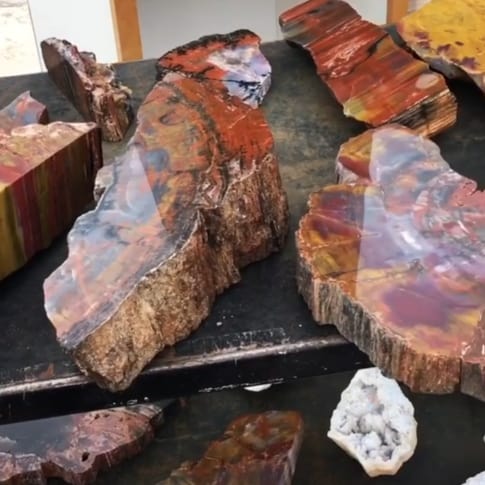 red petrified wood specimens