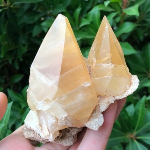 yellow dogtooth calcite crystals