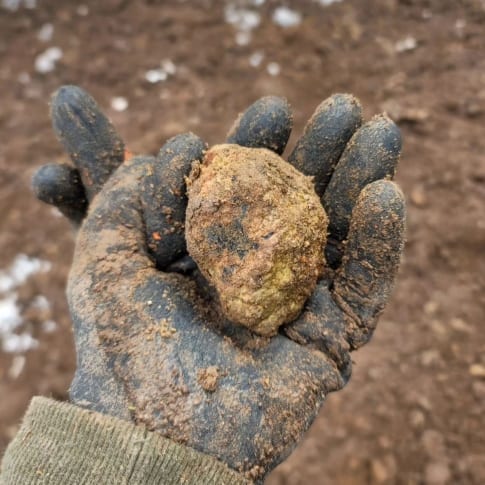 thunderegg rough