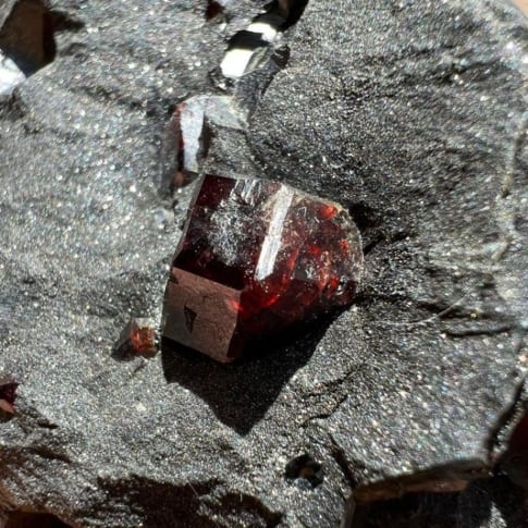 pyrope garnet in matrix